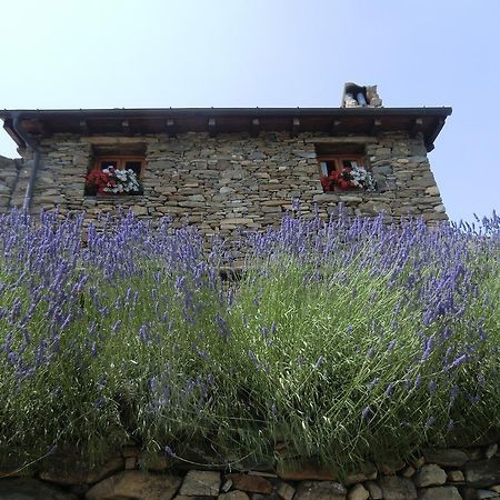 Agriturismo La Fontana Dell'Olmo Hotel Molini di Triora Exterior photo